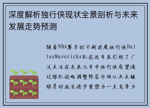 深度解析独行侠现状全景剖析与未来发展走势预测